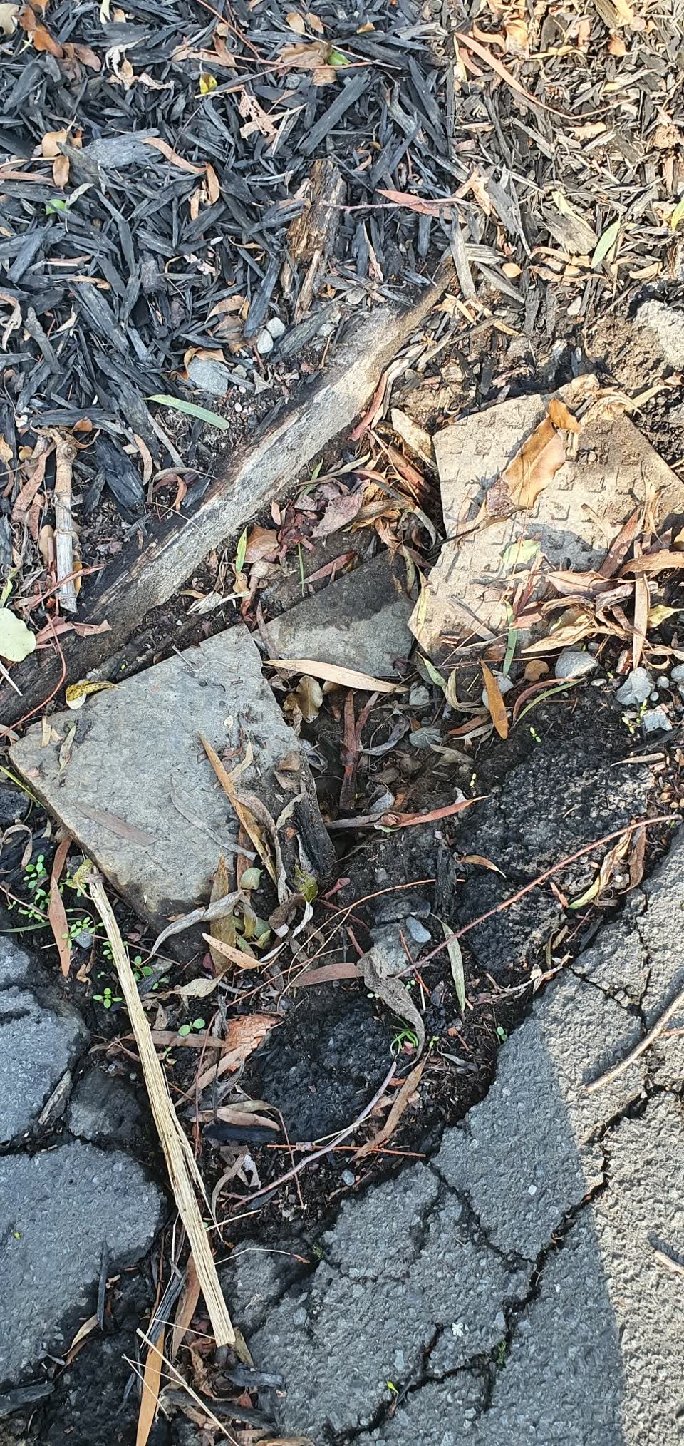 The photograph attached to this water supply report