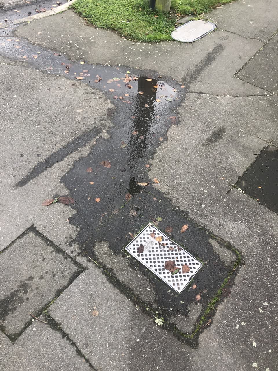 The photograph attached to this water leak report