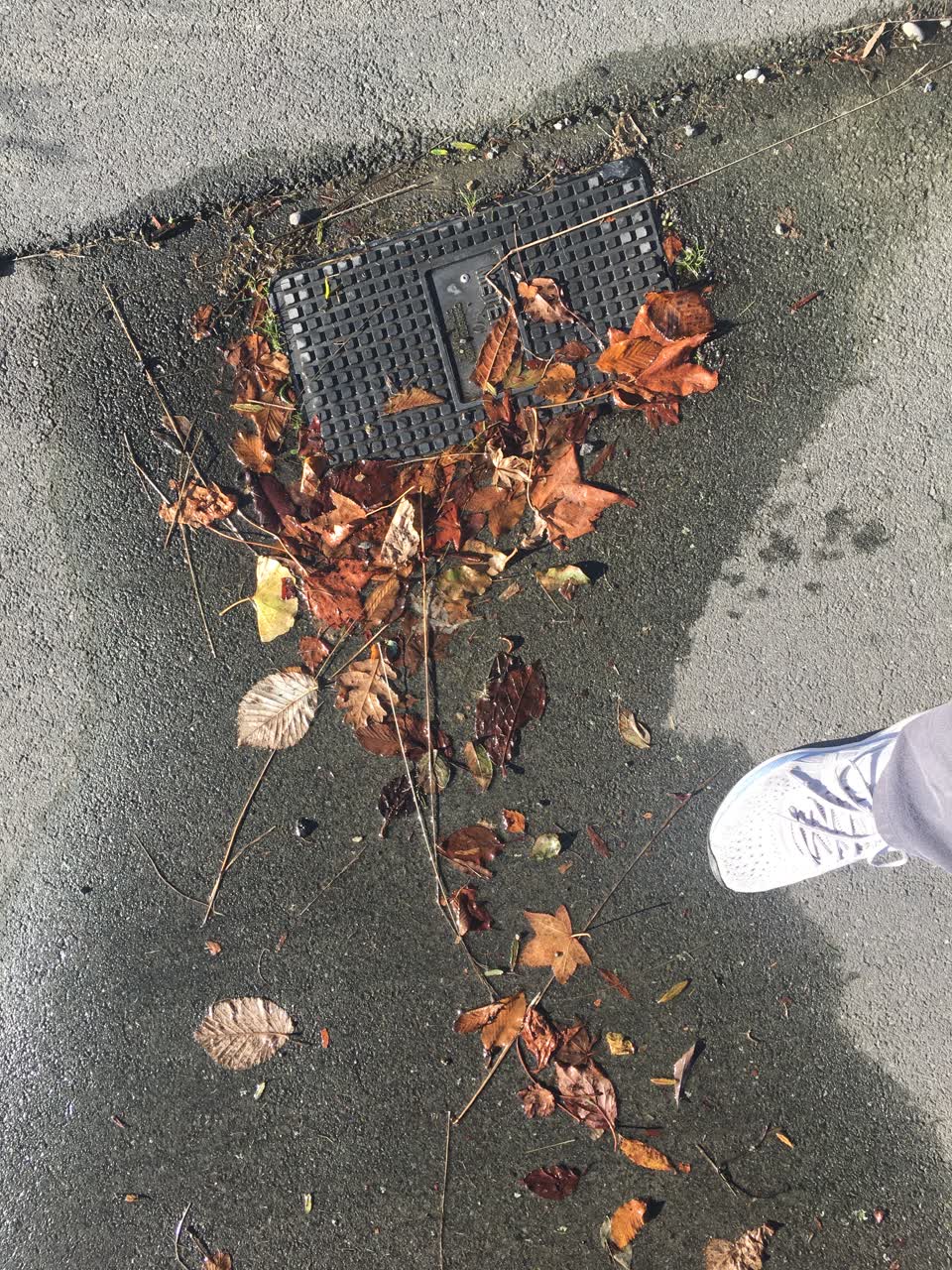 The photograph attached to this water leak report