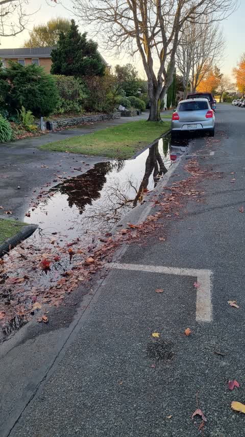 Flooding, a report photo