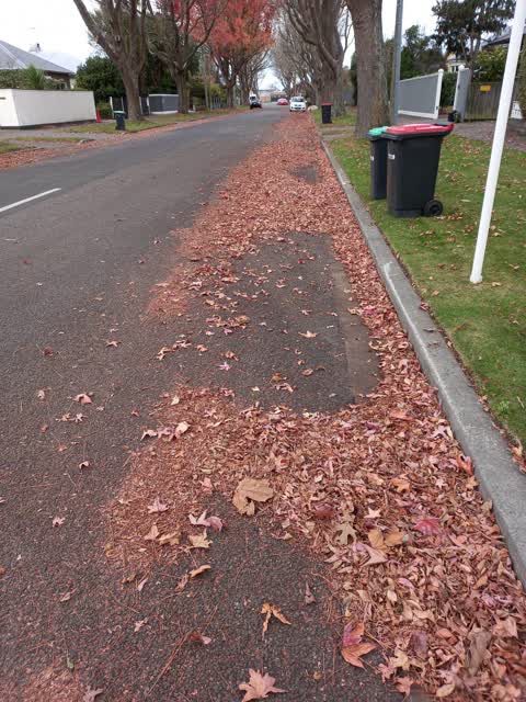 Roading/Streets, a report photo
