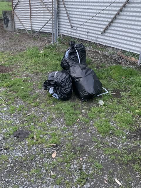 Rubbish/Recycling — a report photo