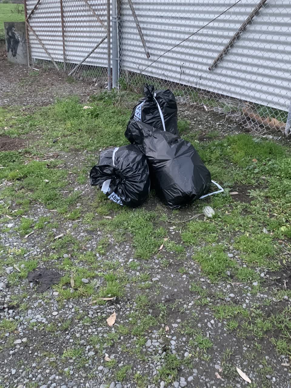 The photograph attached to this rubbish/recycling report