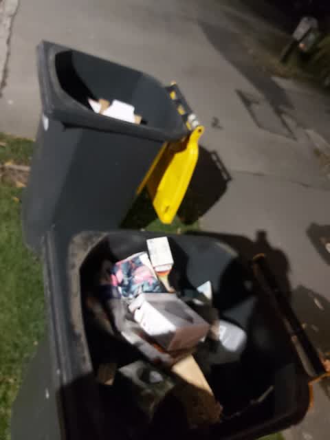 Rubbish/Recycling, a report photo