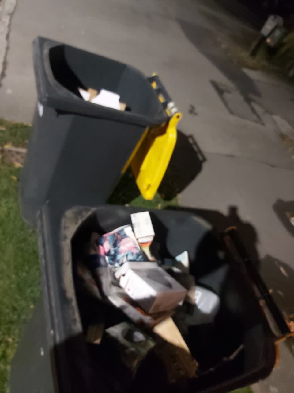 The photograph attached to this rubbish/recycling report