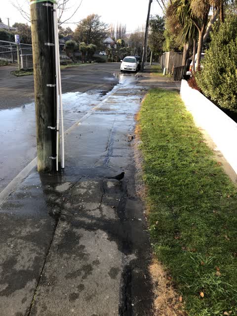 Water Leak, a report photo
