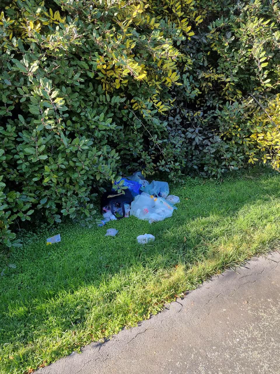 The photograph attached to this rubbish/recycling report