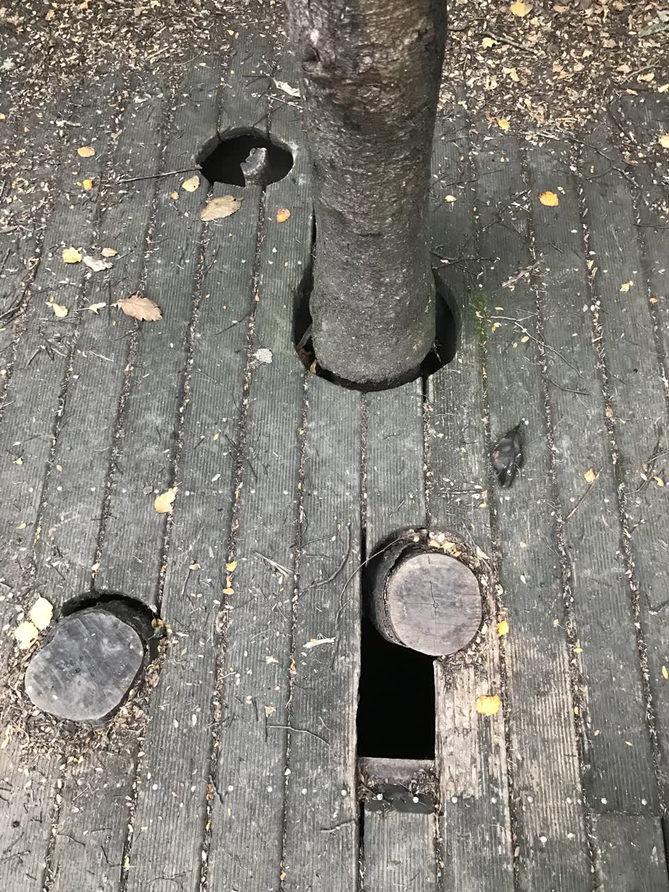 The photograph attached to this parks report