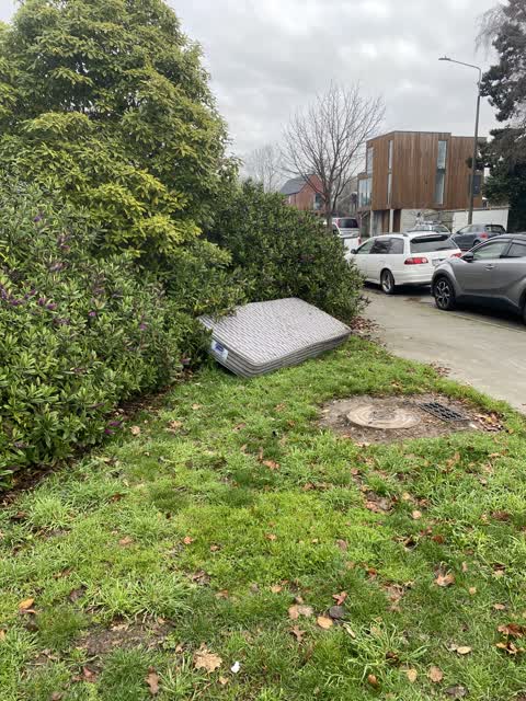 Rubbish/Recycling — a report photo
