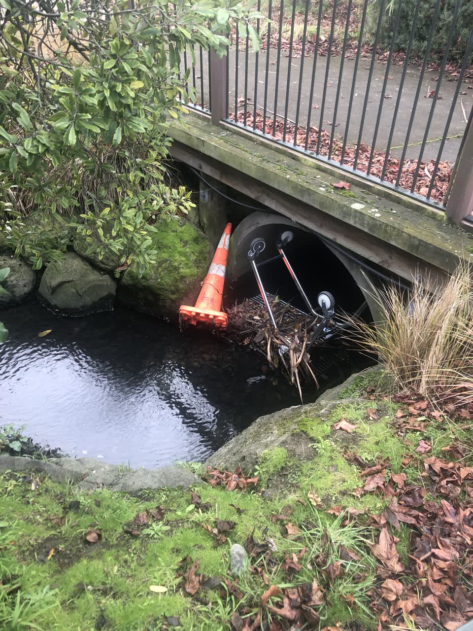 The photograph attached to this parks report