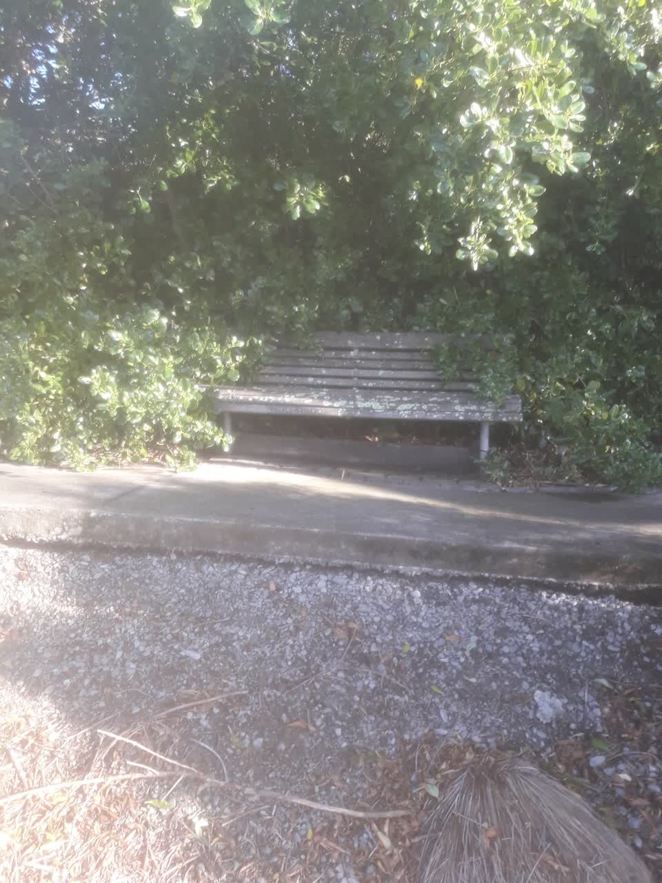 The photograph attached to this parks report