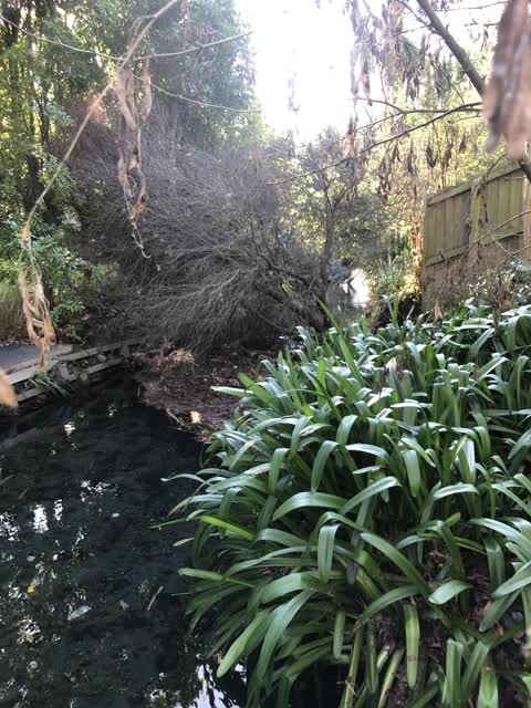 Wastewater/Stormwater, a report photo