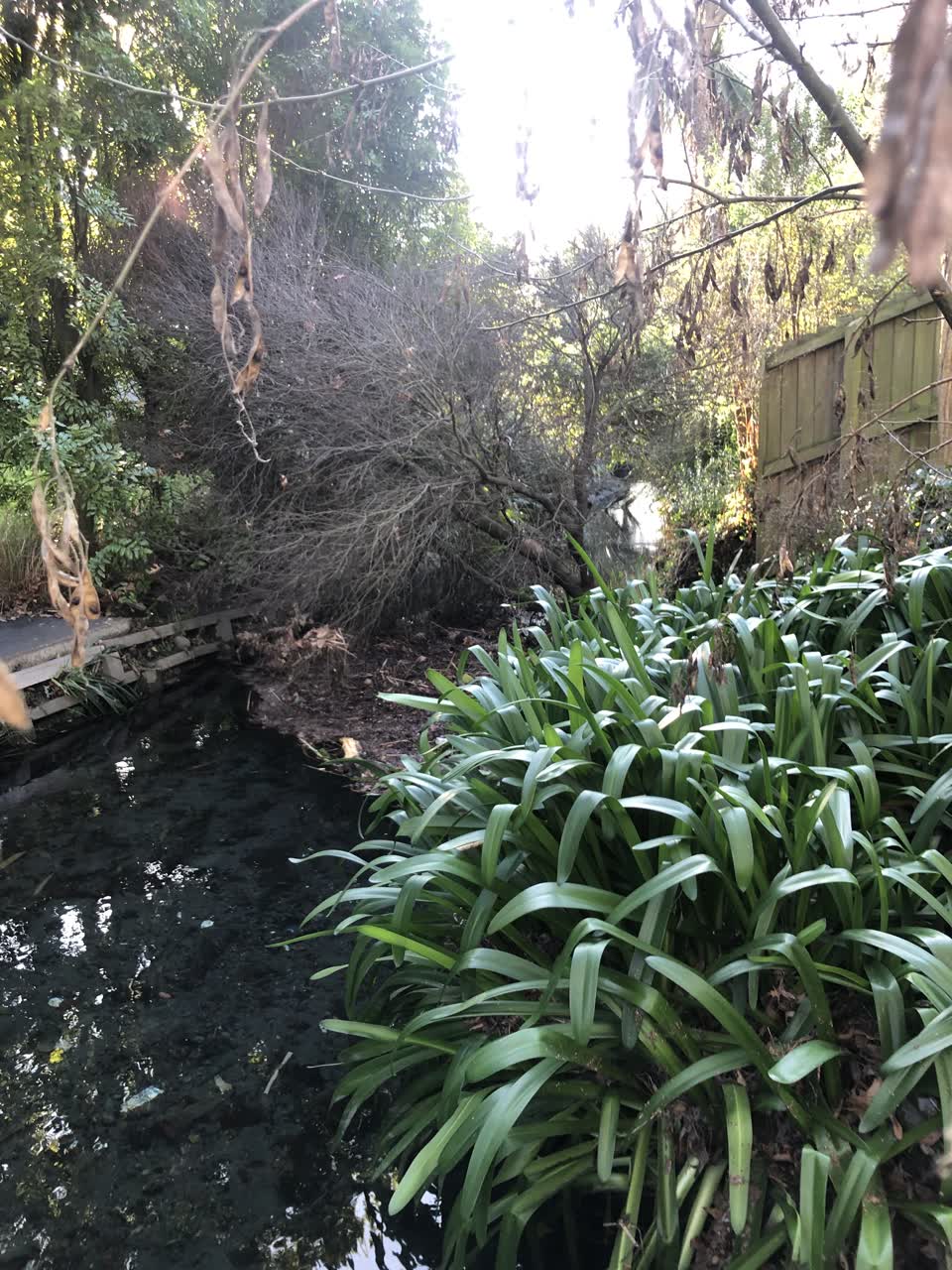 The photograph attached to this wastewater/stormwater report
