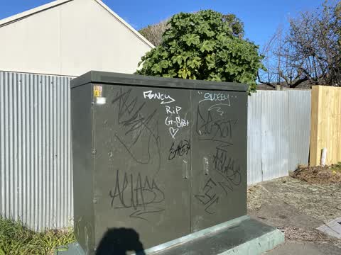 Graffiti, a report photo
