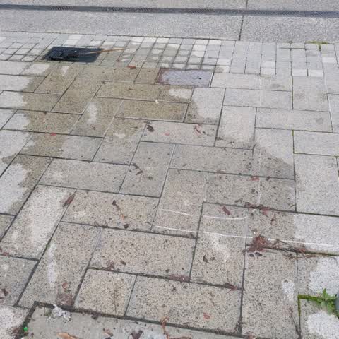 Water Leak, a report photo