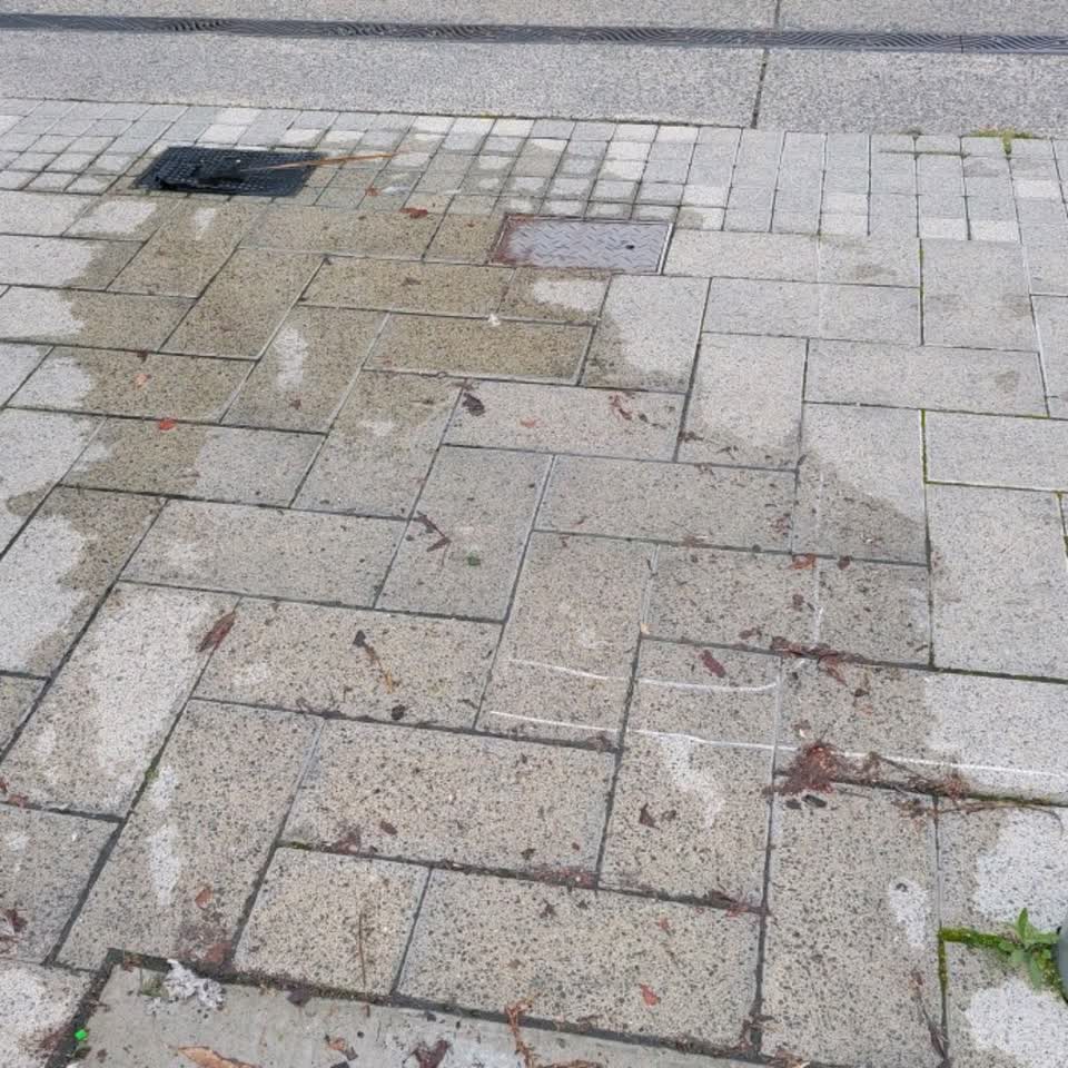 The photograph attached to this water leak report