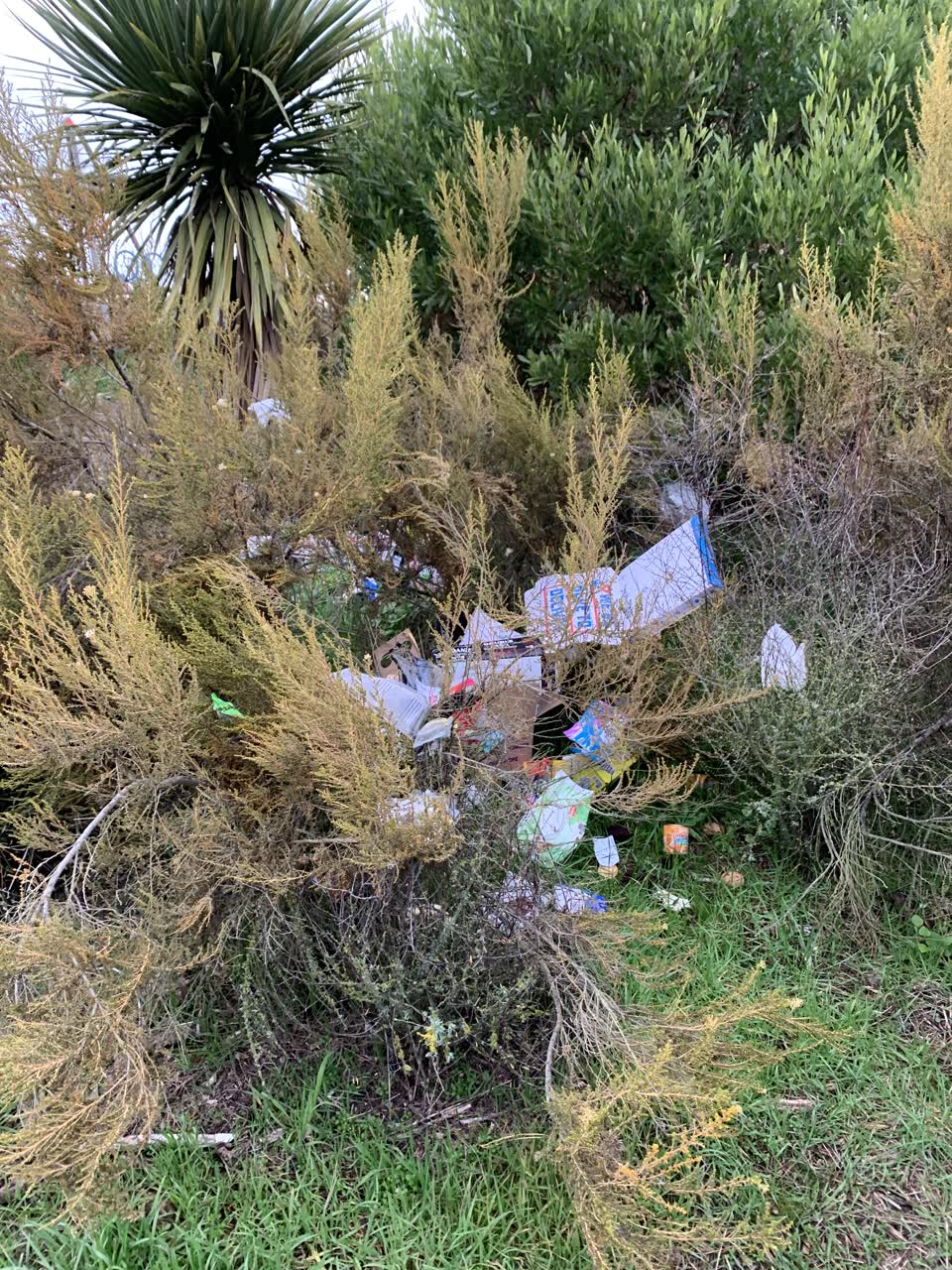 The photograph attached to this rubbish/recycling report