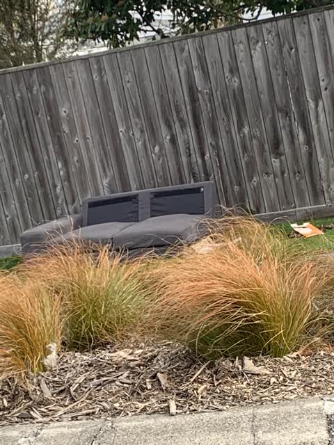 Rubbish and Bins - General, a report photo