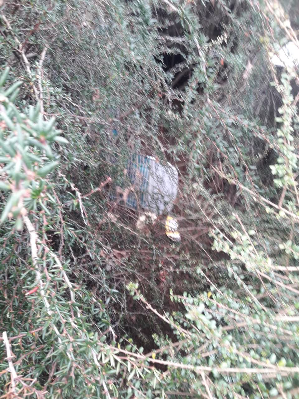 The photograph attached to this dumped rubbish report