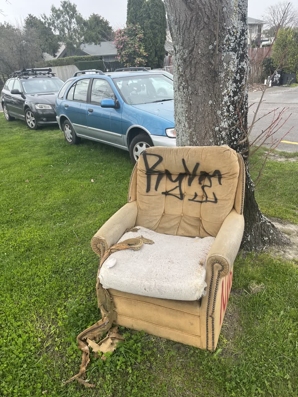 The photograph attached to this dumped rubbish report