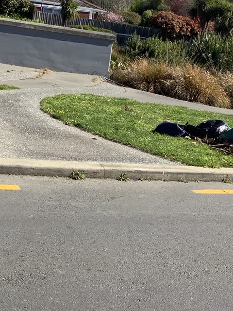 Dumped Rubbish — a report photo