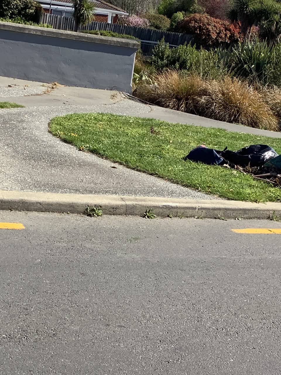 The photograph attached to this dumped rubbish report