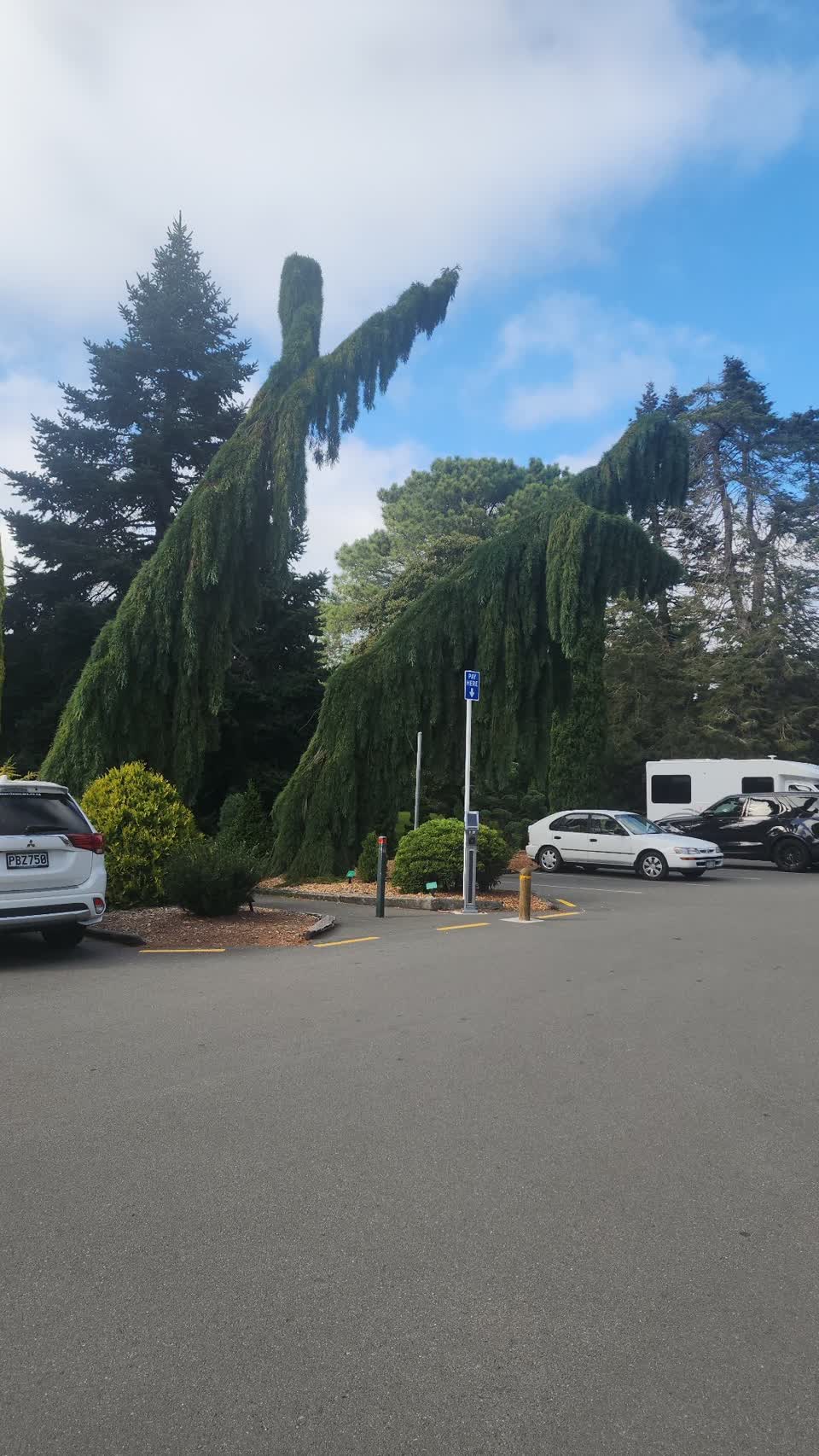 The photograph attached to this park - general request report