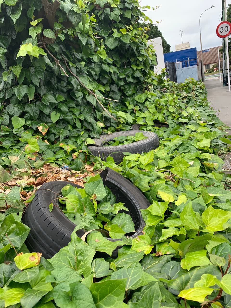 The photograph attached to this rubbish/recycling report