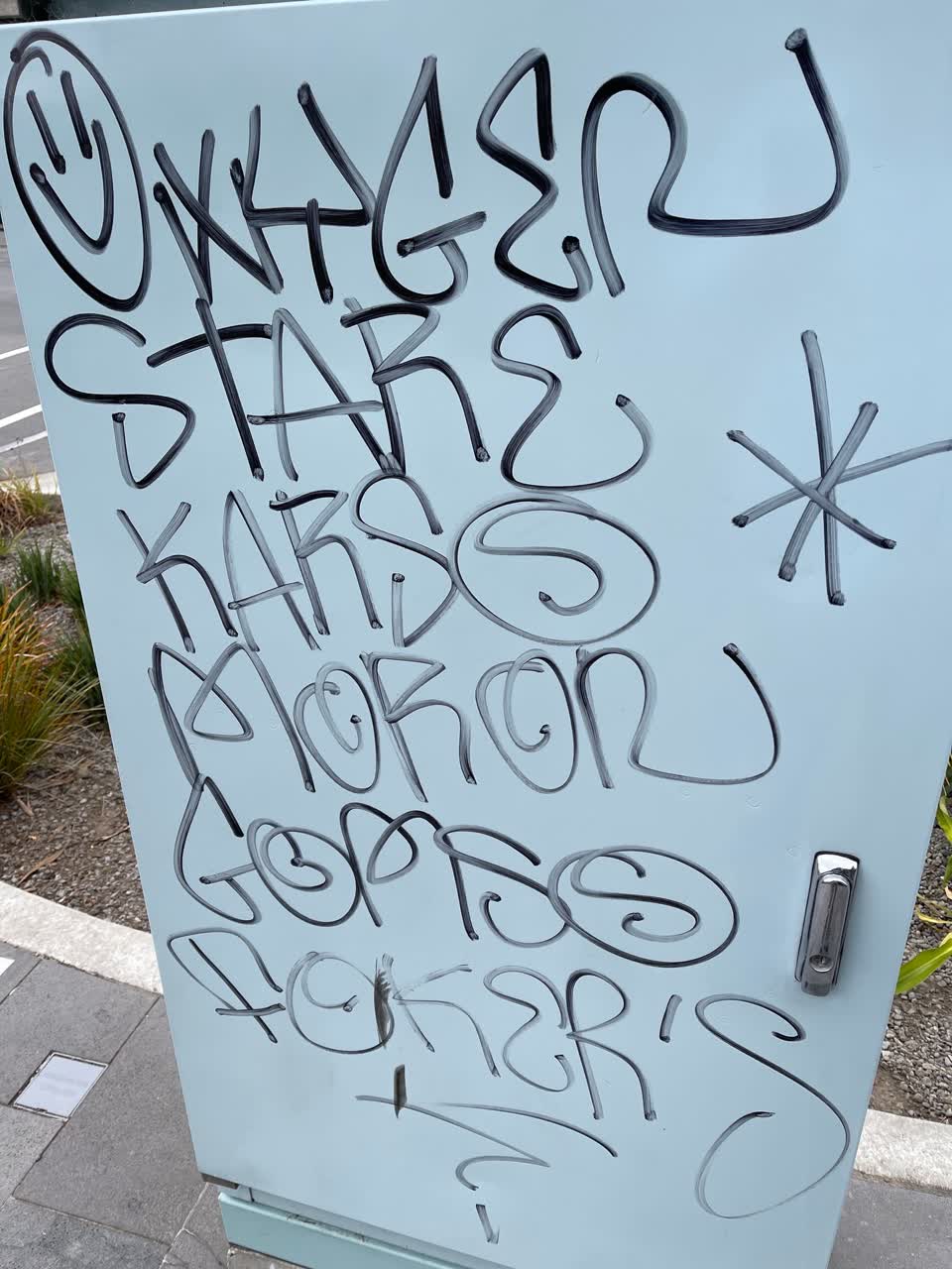 The photograph attached to this graffiti report