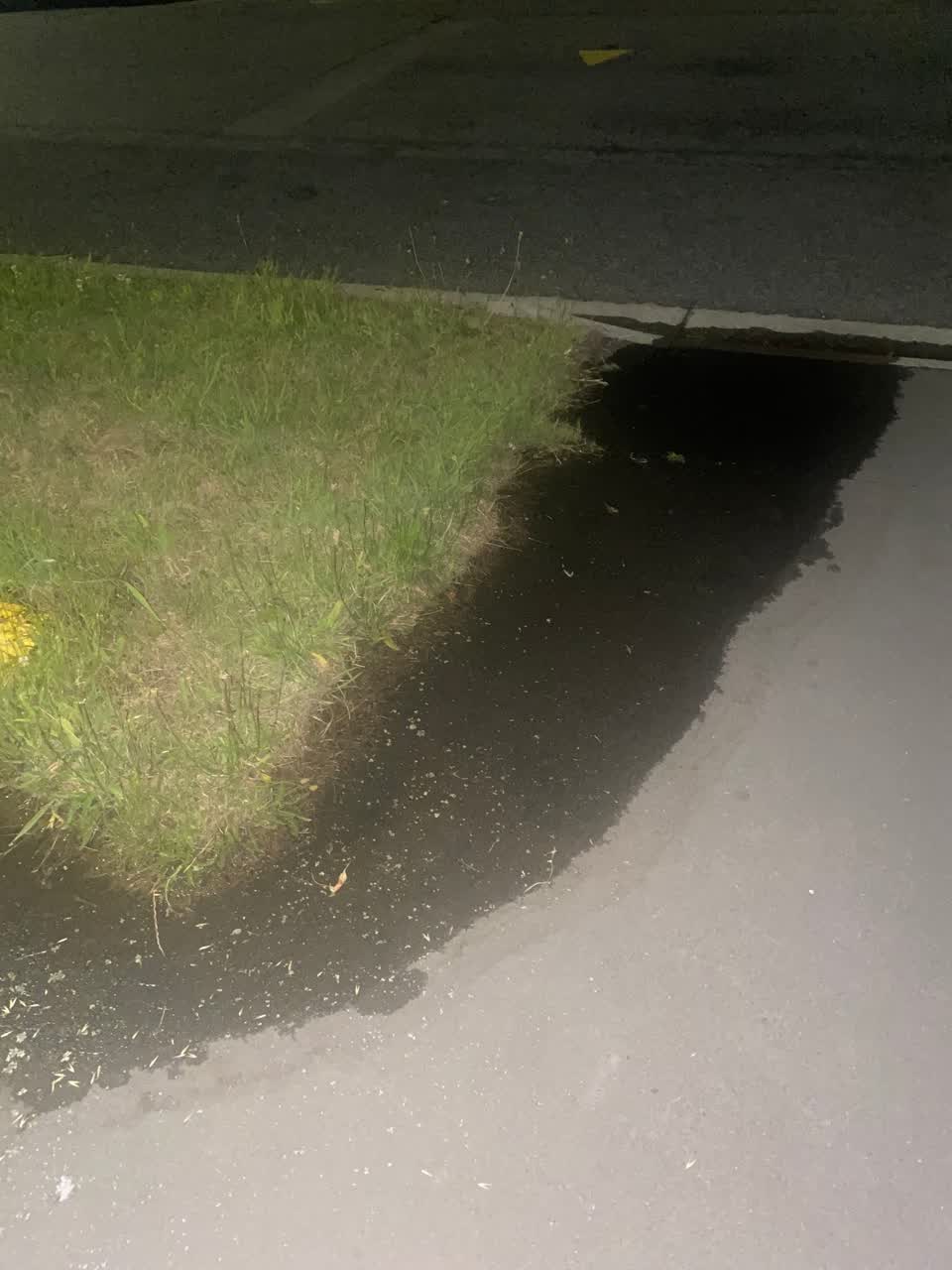 The photograph attached to this water leak report