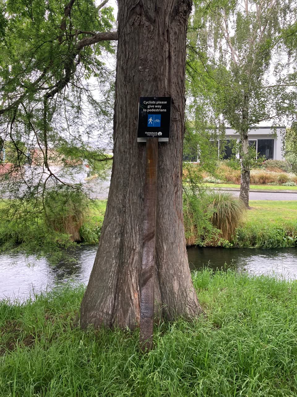 The photograph attached to this parks report