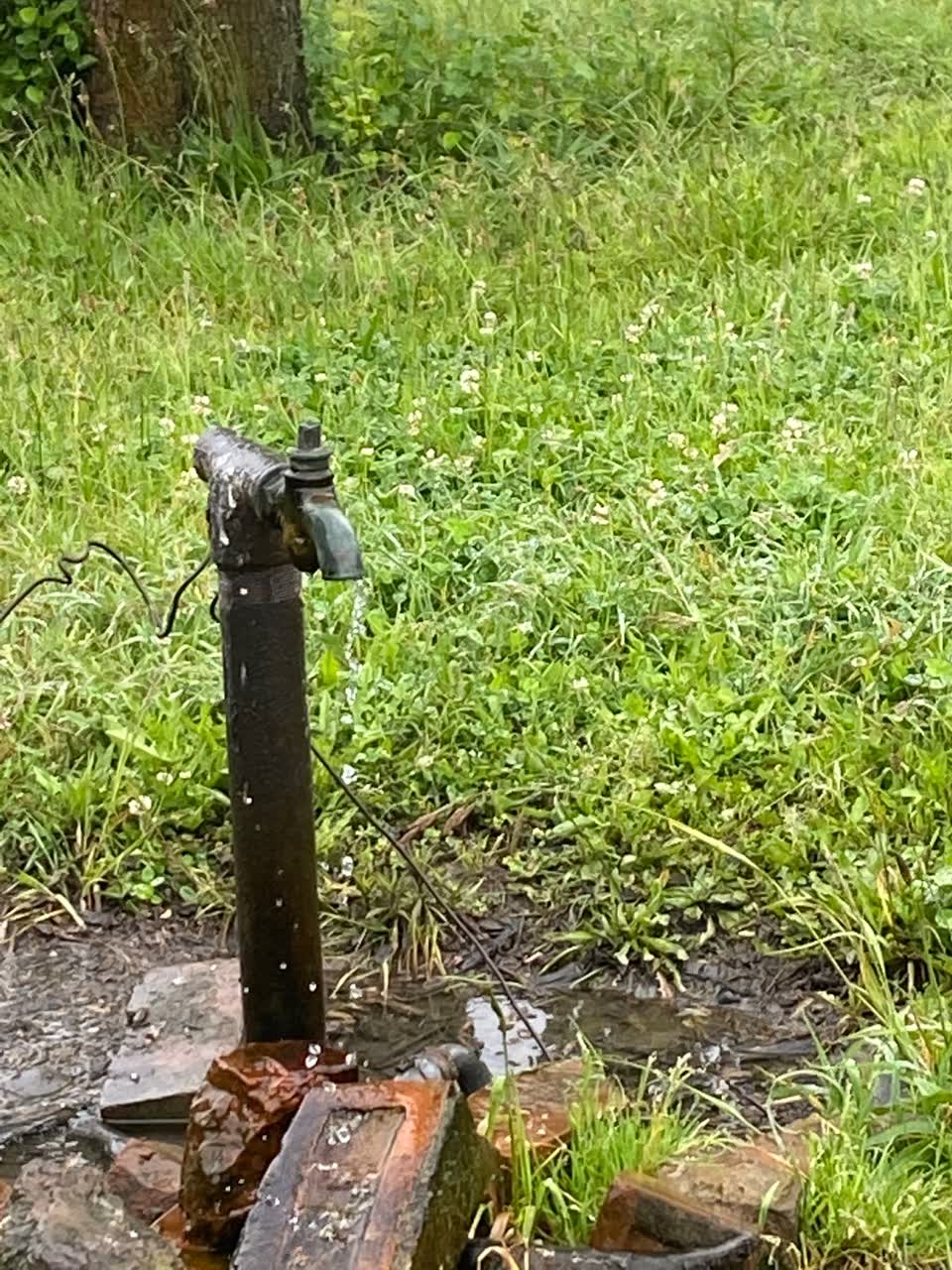 The photograph attached to this water leak report