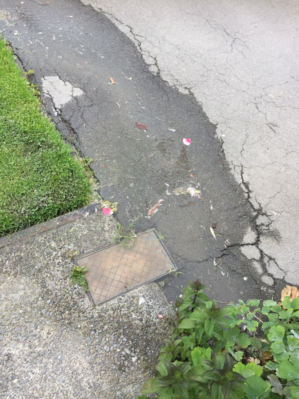The photograph attached to this water leak report