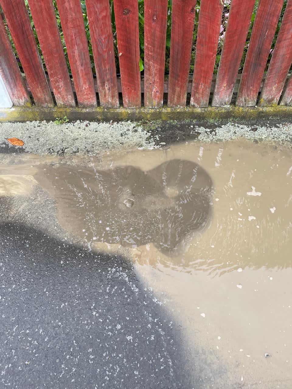 The photograph attached to this roading/streets report