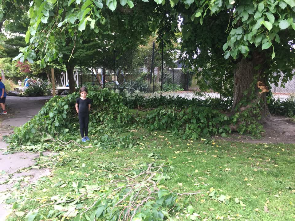 The photograph attached to this parks report