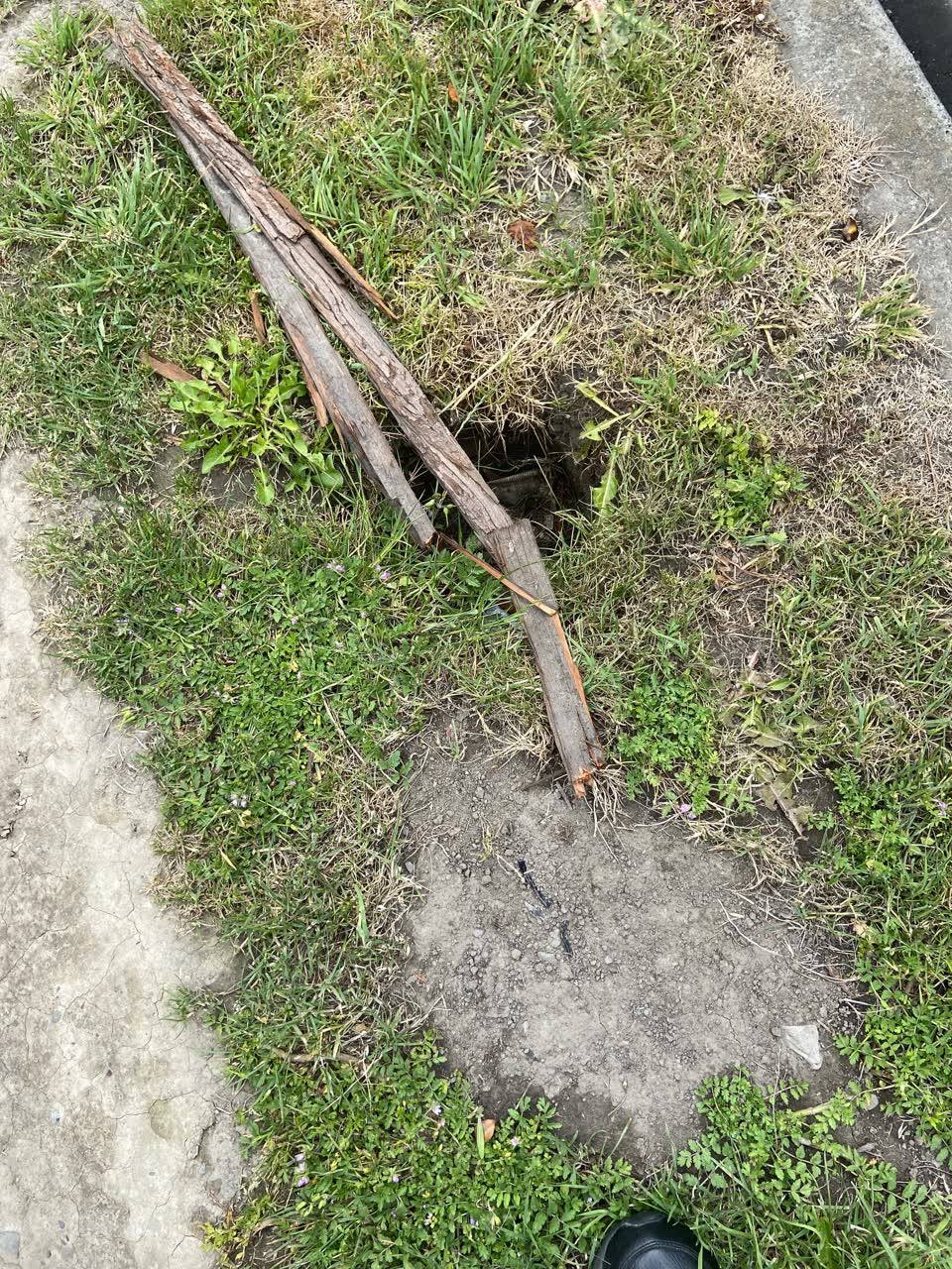 The photograph attached to this roading/streets report