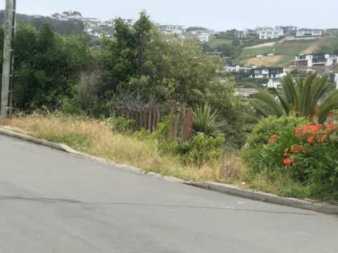 Roading/Streets, a report photo