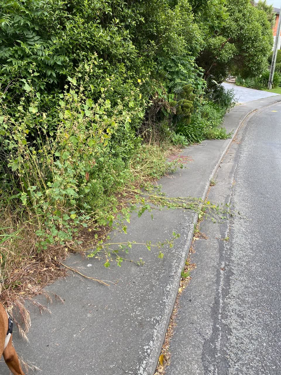 The photograph attached to this roading/streets report