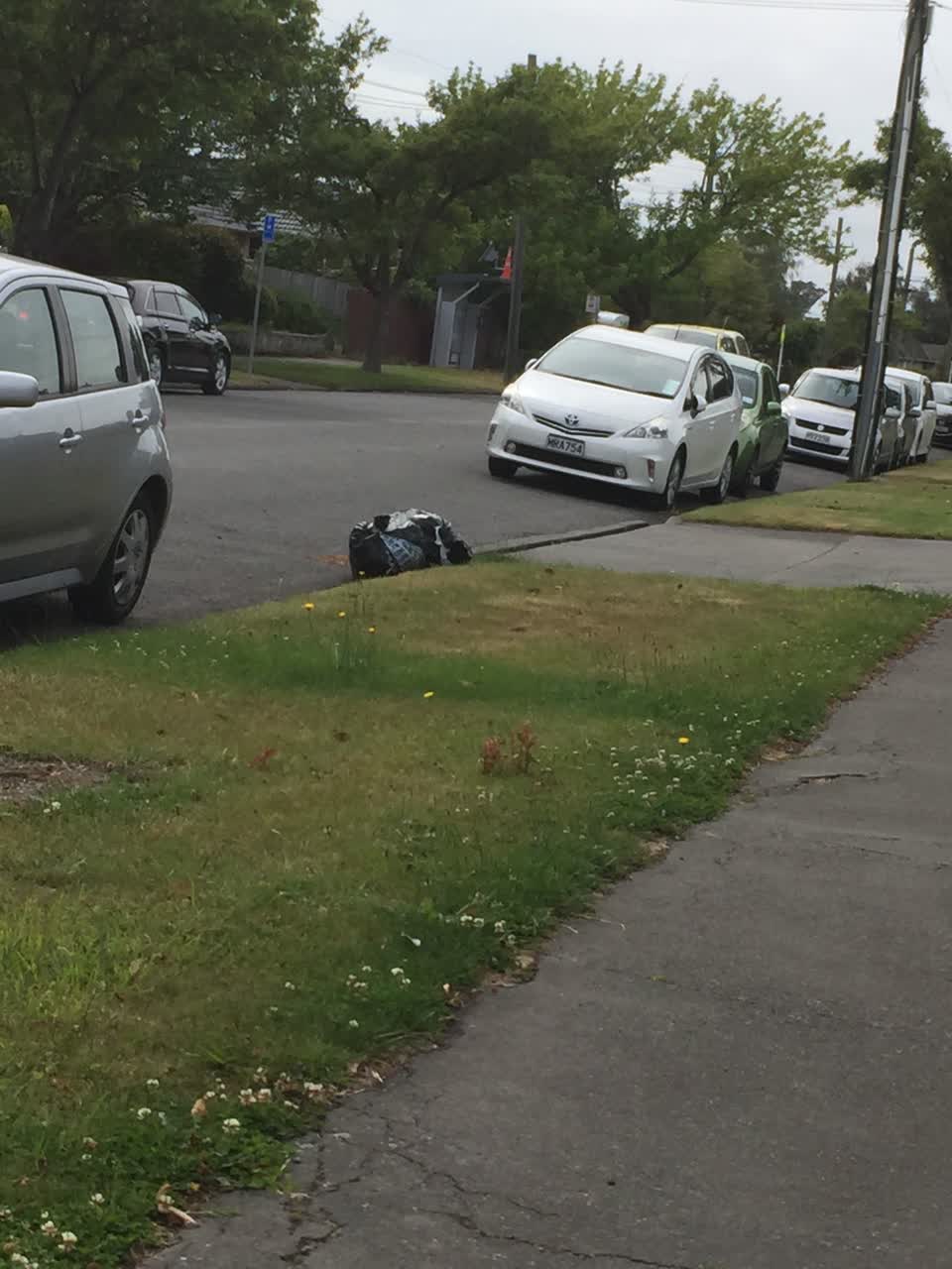 The photograph attached to this rubbish/recycling report
