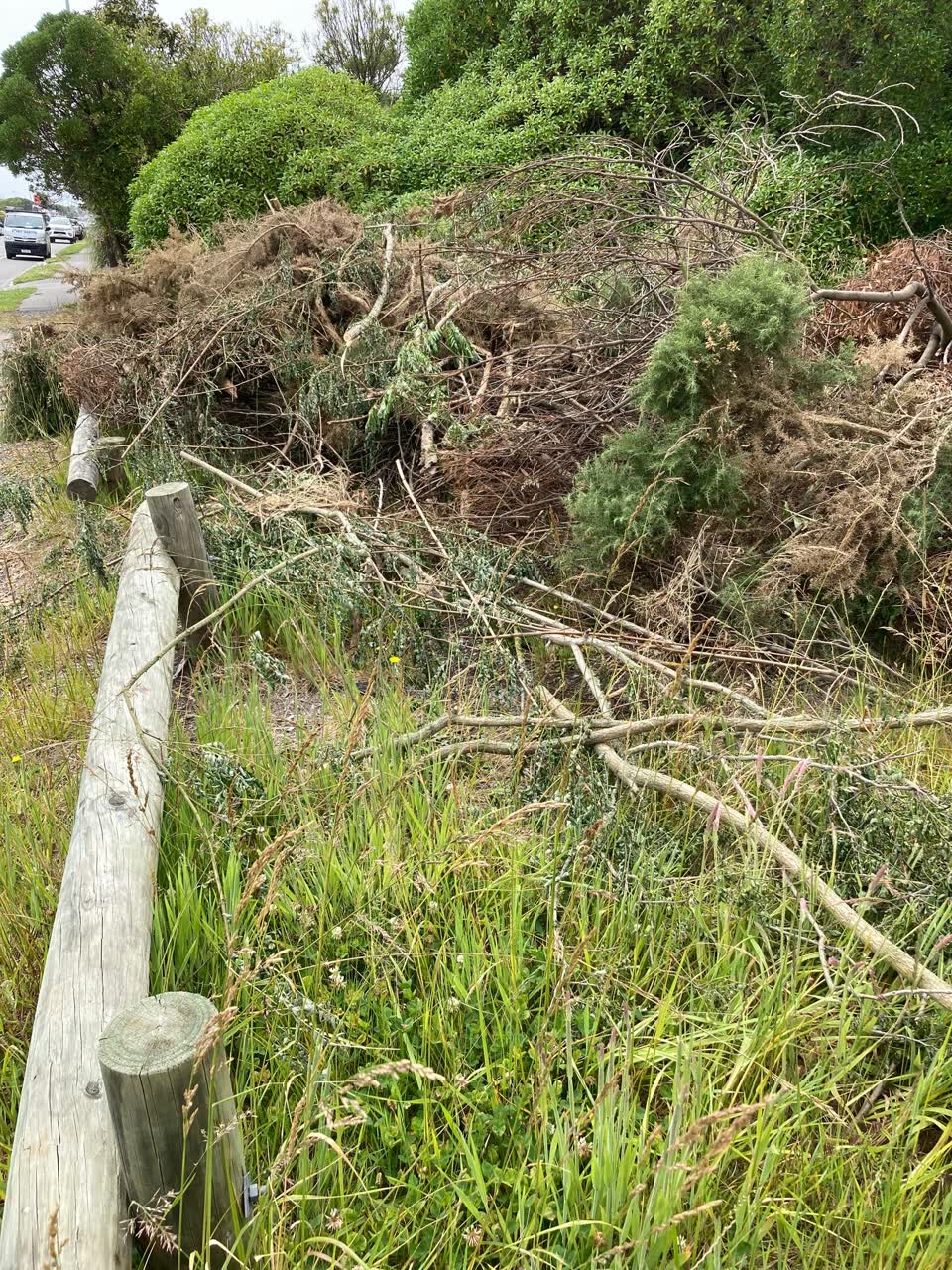 The photograph attached to this parks report