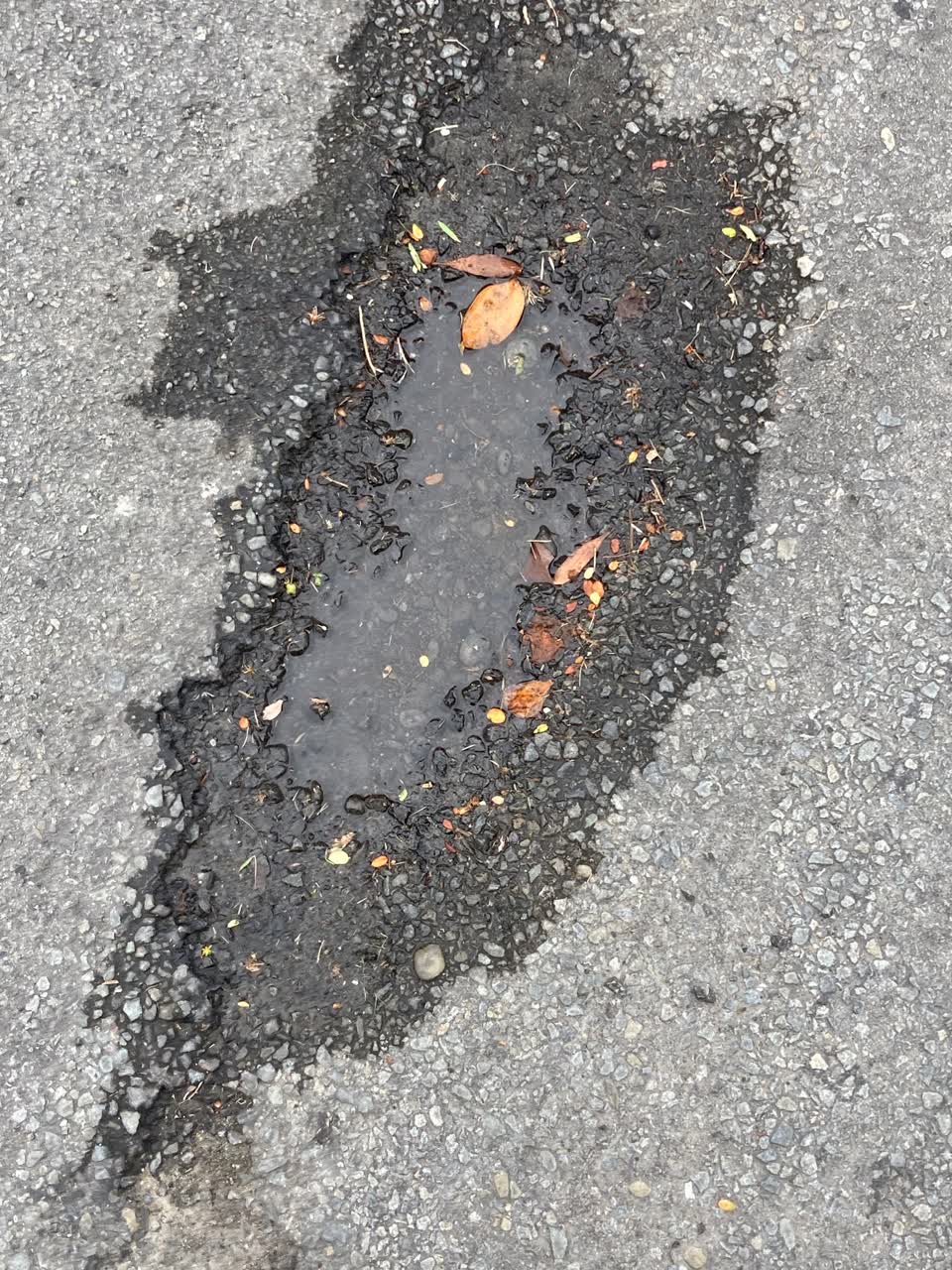 The photograph attached to this roading/streets report