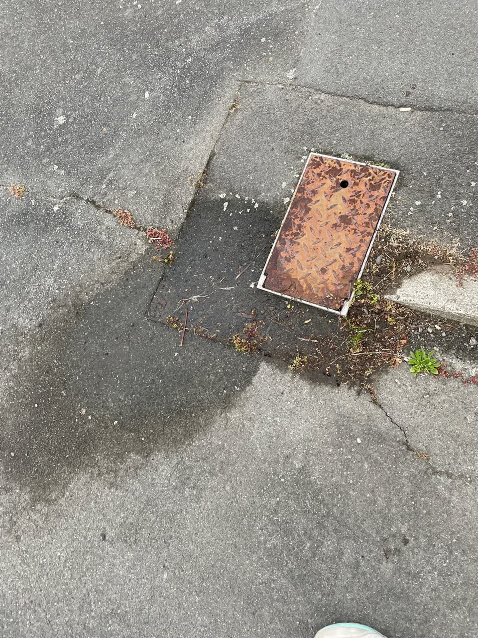 The photograph attached to this water leak report