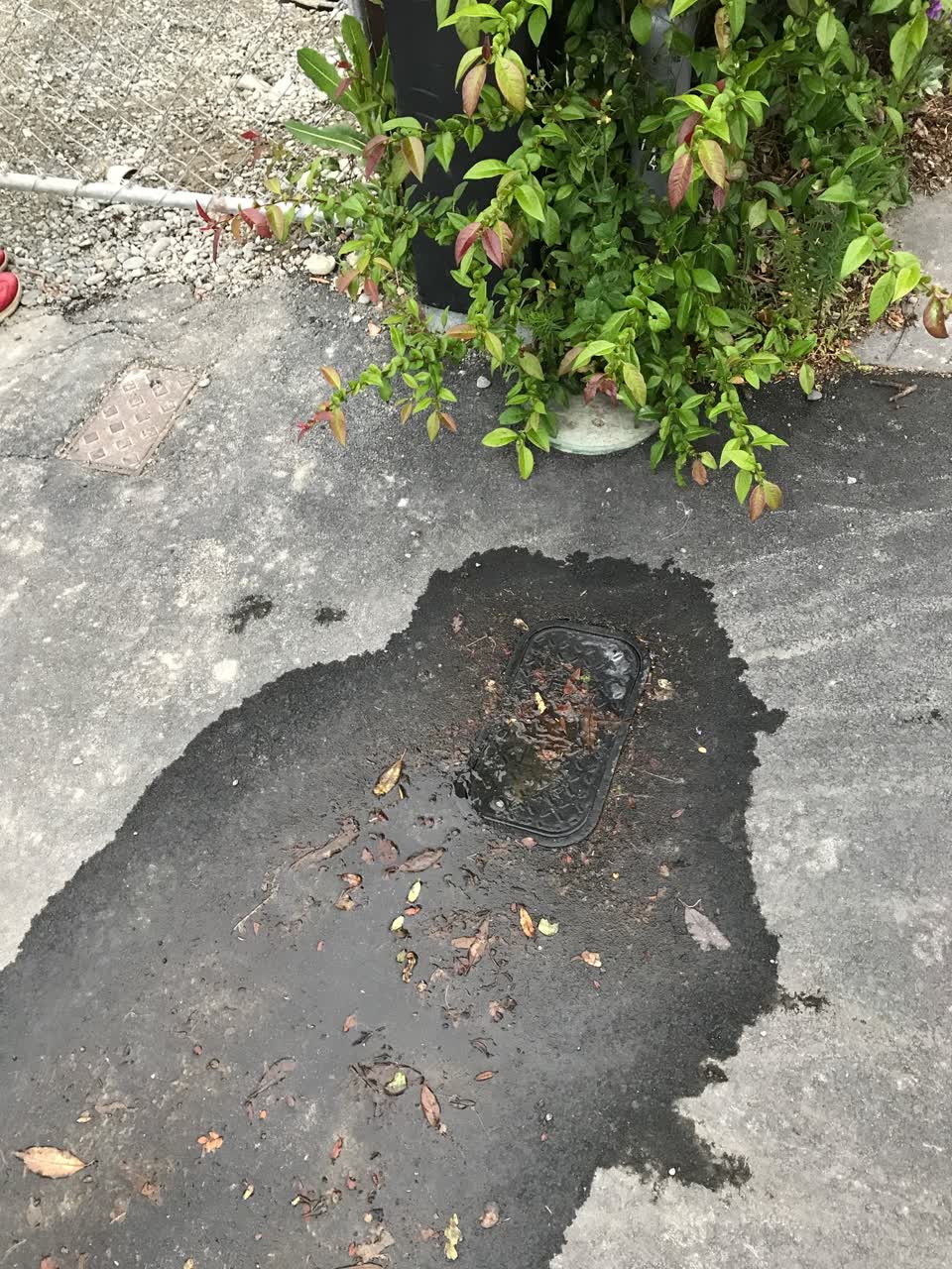 The photograph attached to this water leak report