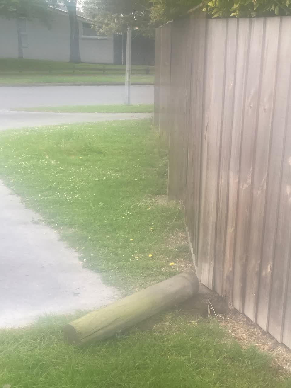 The photograph attached to this parks report