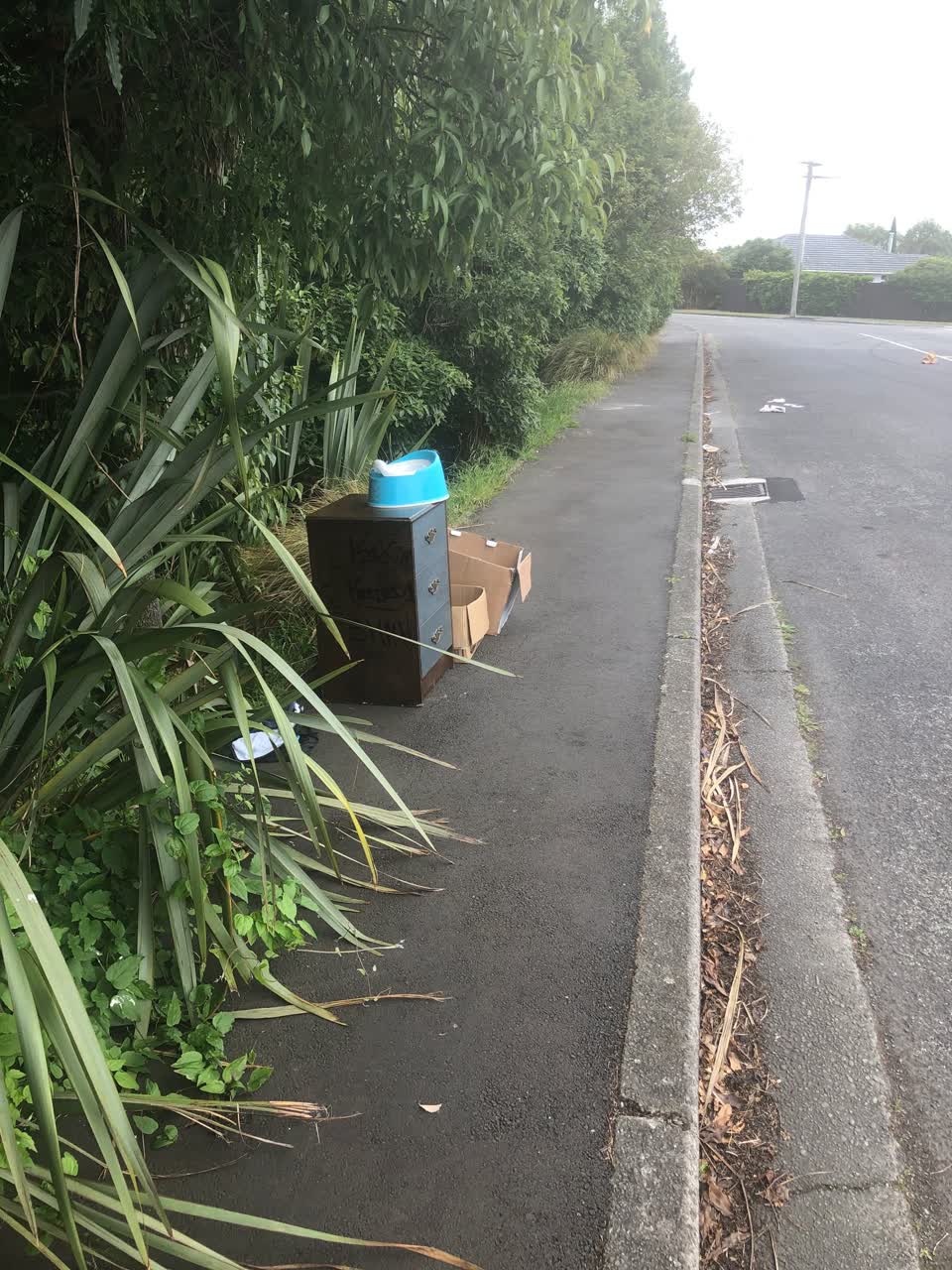 The photograph attached to this rubbish/recycling report