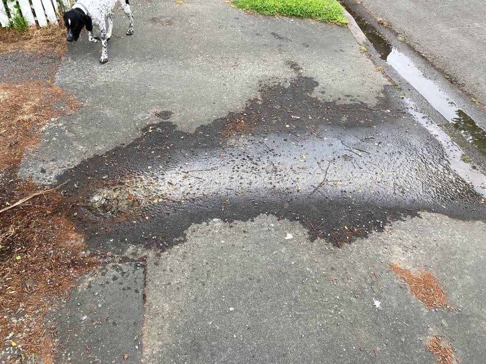 The photograph attached to this water leak report