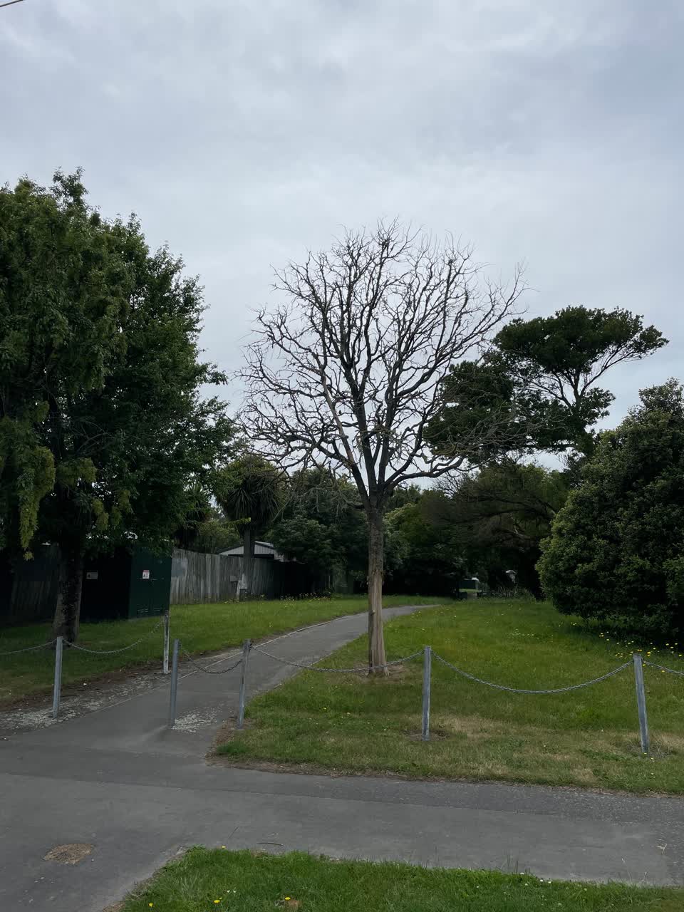 The photograph attached to this parks report