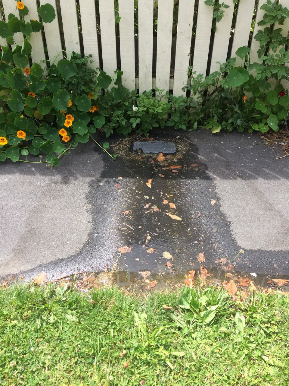 The photograph attached to this water leak report