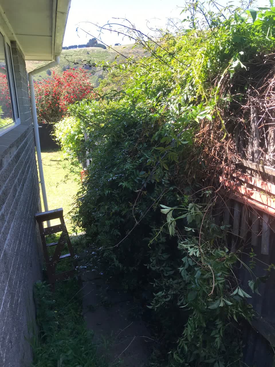 The photograph attached to this water leak report