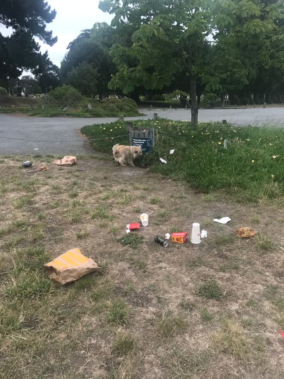 The photograph attached to this rubbish/recycling report